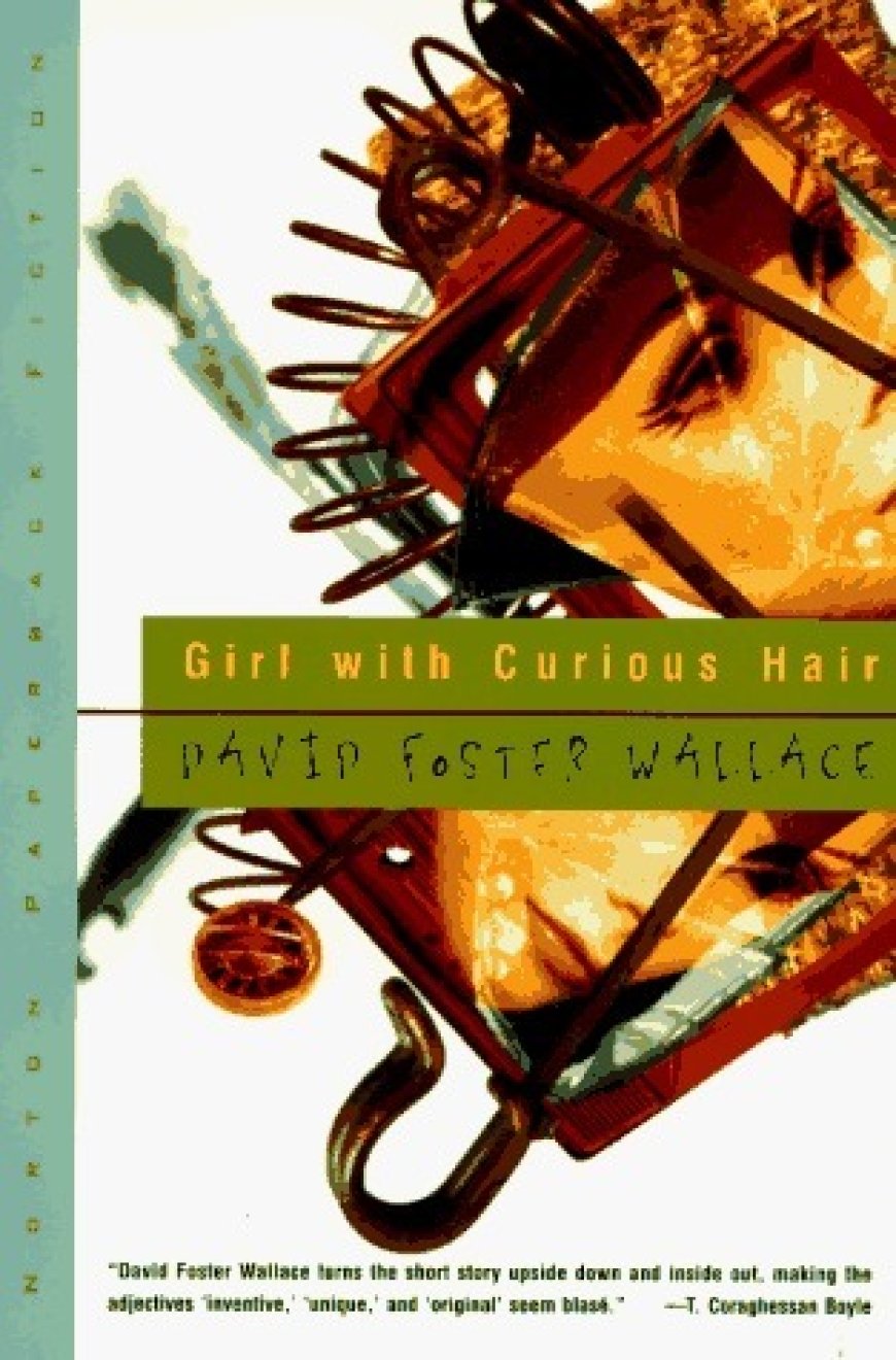 [PDF] Girl With Curious Hair by David Foster Wallace