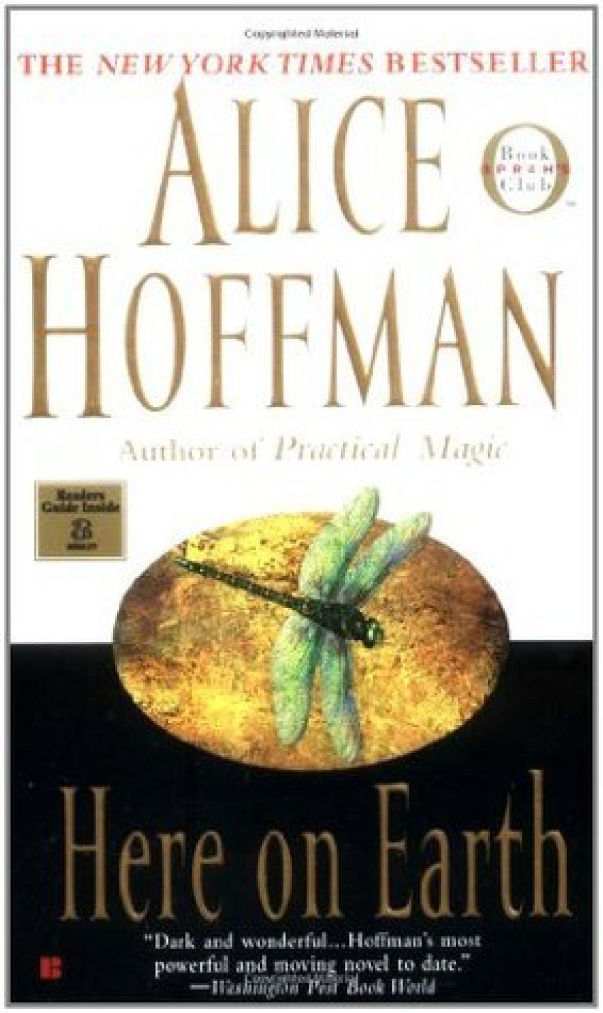 [PDF] Here on Earth by Alice Hoffman