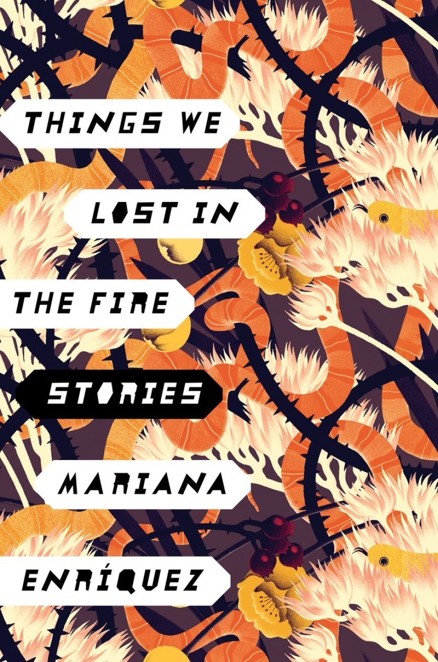 [PDF] Things We Lost in the Fire by Mariana Enríquez