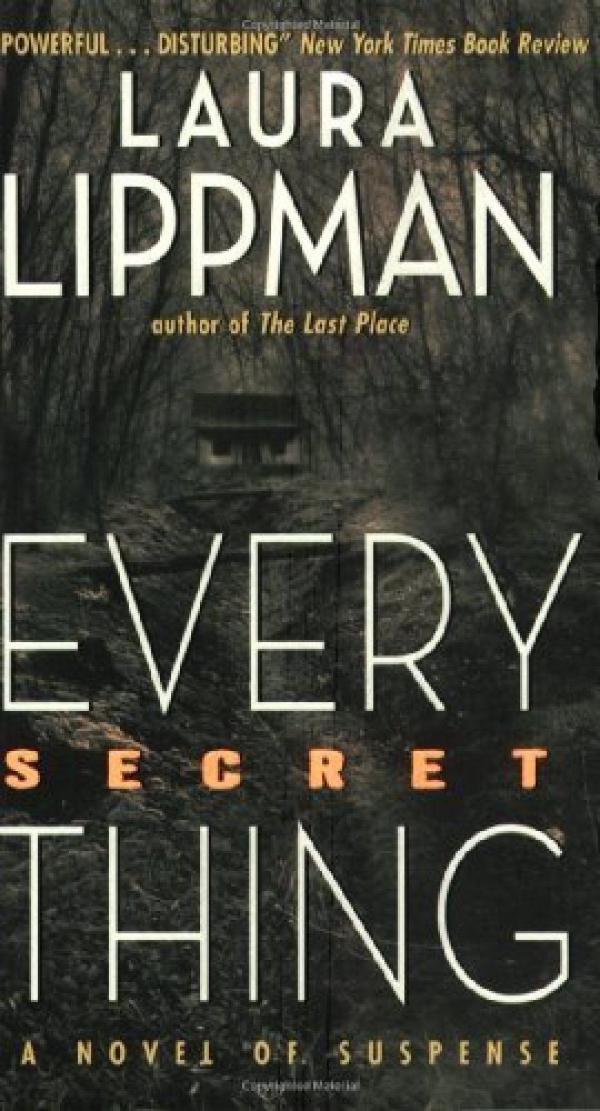 [PDF] Every Secret Thing by Laura Lippman