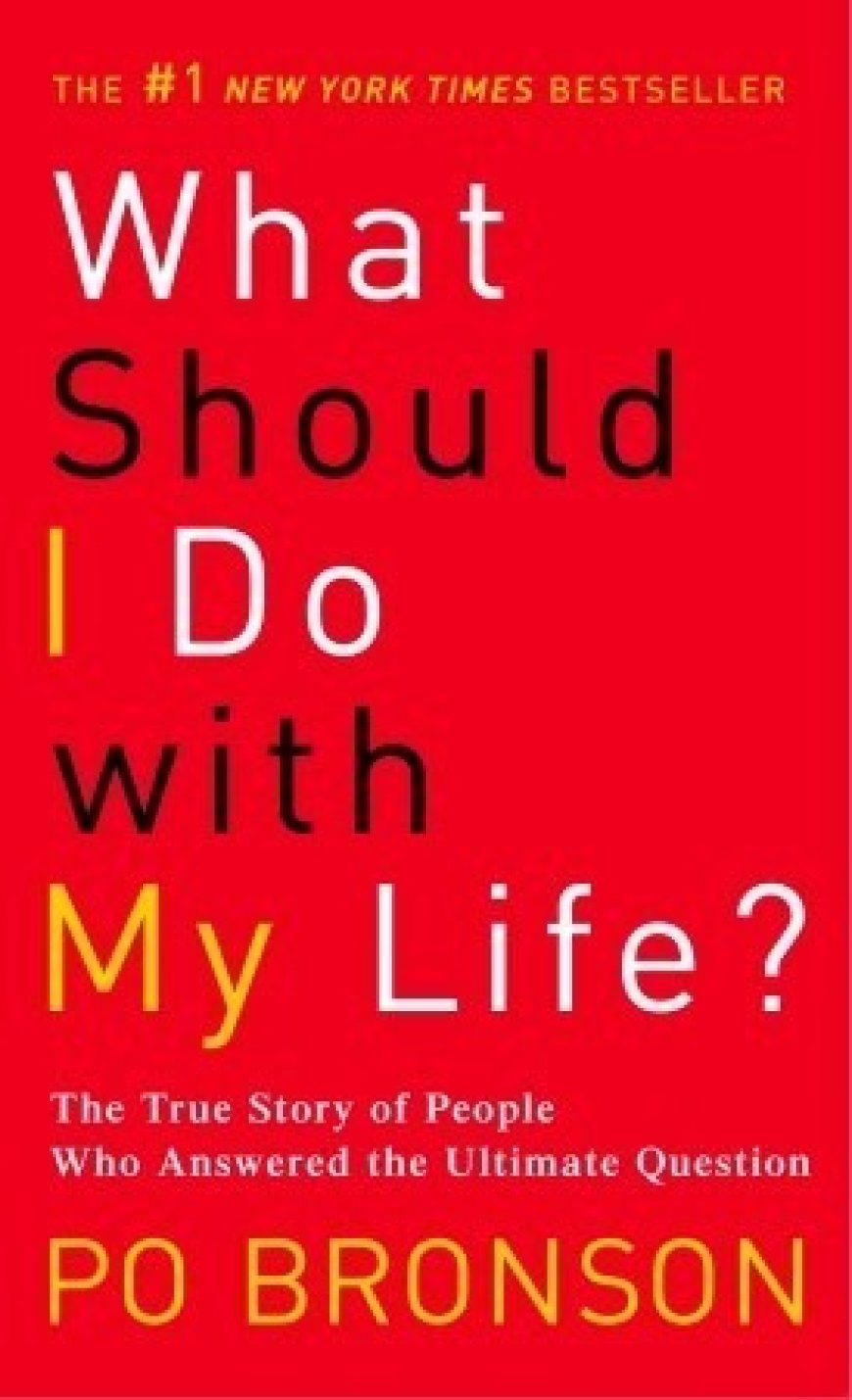 [PDF] What Should I Do with My Life?: The True Story of People Who Answered the Ultimate Question by Po Bronson