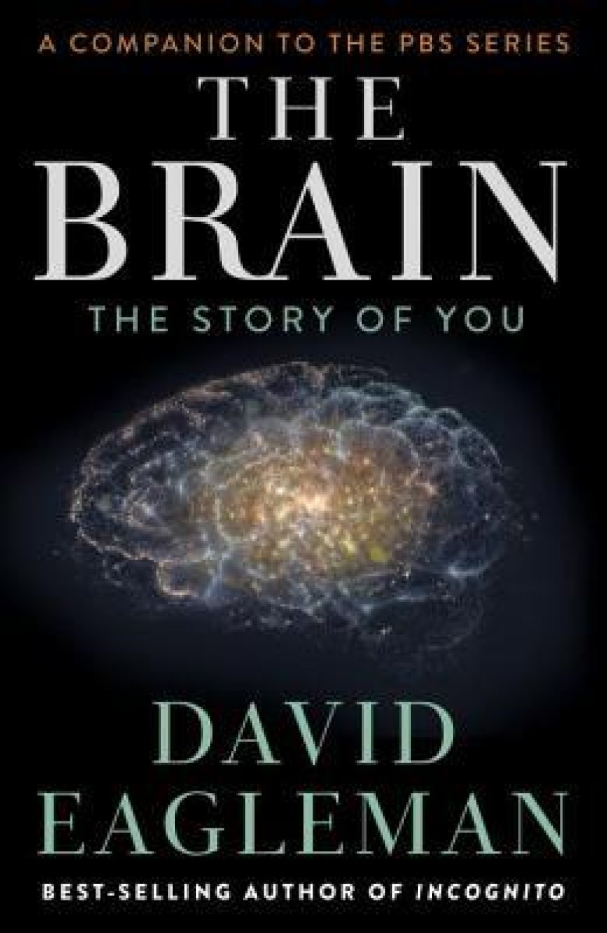 [PDF] The Brain: The Story of You by David Eagleman