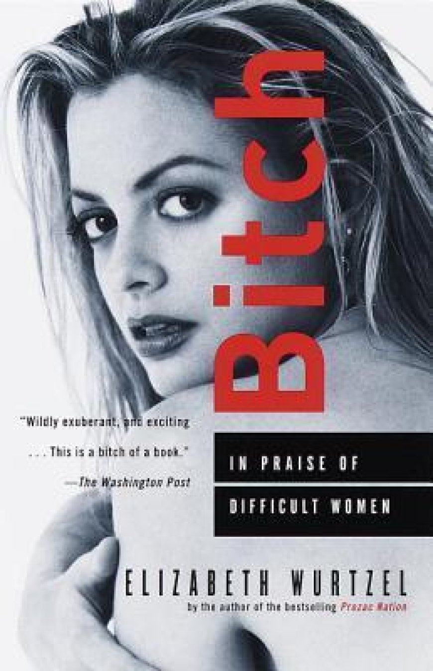 [PDF] Bitch: In Praise of Difficult Women by Elizabeth Wurtzel