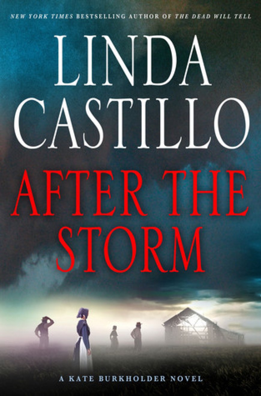 [PDF] Kate Burkholder #7 After the Storm by Linda Castillo