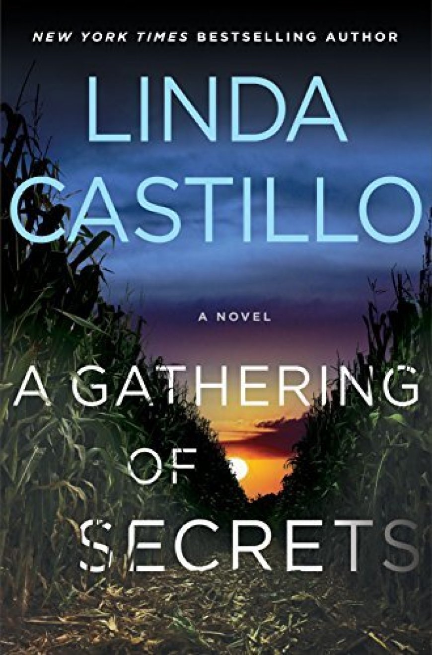 [PDF] Kate Burkholder #10 A Gathering of Secrets by Linda Castillo