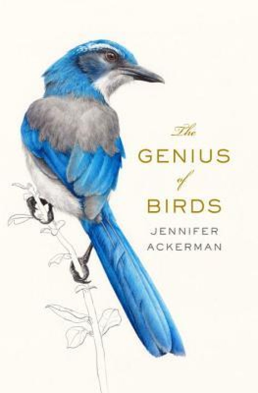 [PDF] The Genius of Birds by Jennifer Ackerman