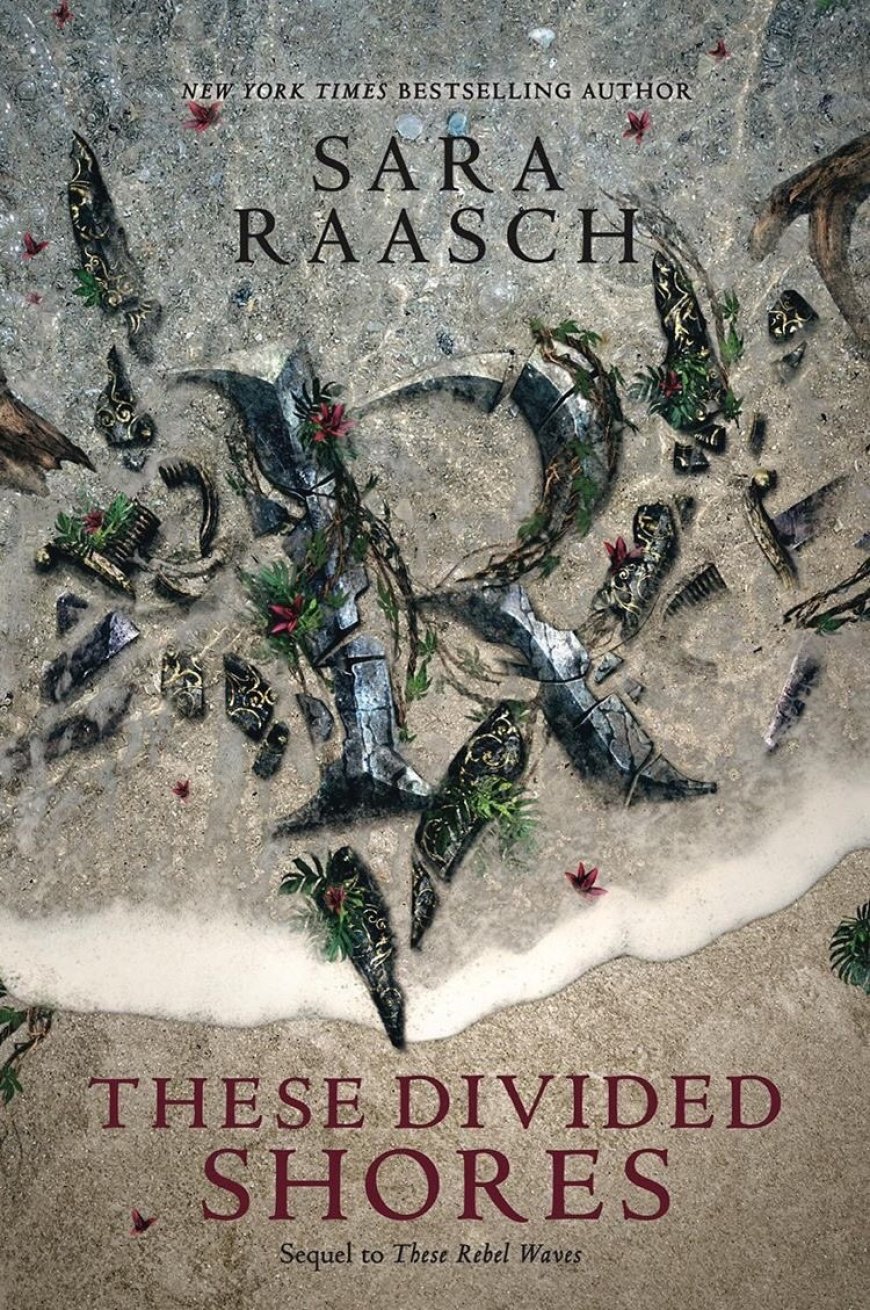 [PDF] Stream Raiders #2 These Divided Shores by Sara Raasch