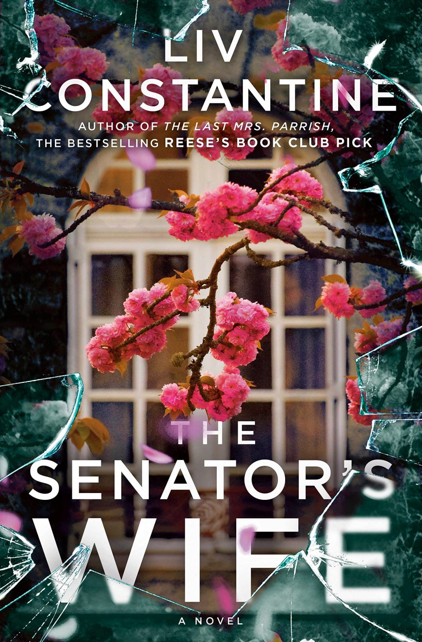 [PDF] The Senator's Wife by Liv Constantine