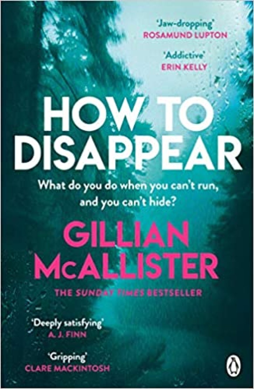 [PDF] How to Disappear by Gillian McAllister