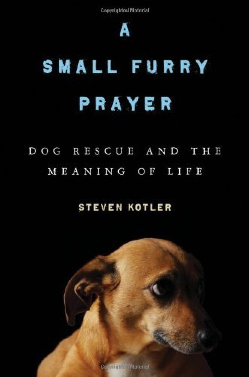 [PDF] A Small Furry Prayer: Dog Rescue and the Meaning of Life by Steven Kotler