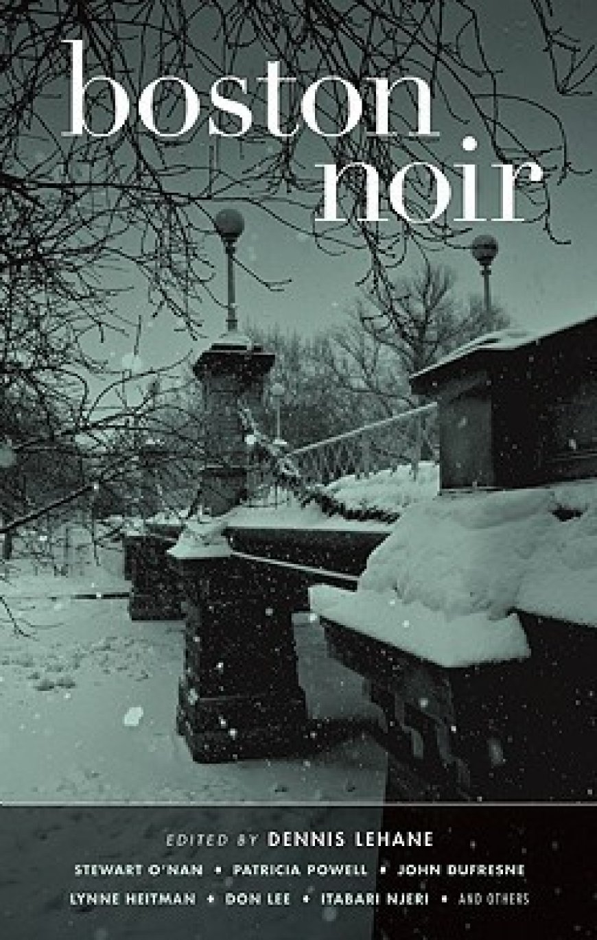 [PDF] Anna Hoyt #1 (Femme Sole) Boston Noir by Dennis Lehane  (Editor and Contributor) ,  Stewart O'Nan  (Contributor) ,  Patricia Powell  (Contributor) ,  Russ Aborn  (Contributor) ,  Dana Cameron  (Contributor) ,  Brendan DuBois  (Contributor) ,  John Dufresne  (Contributor) ,  Jim Fusilli  (Contributor) ,  Lynne Heitman  (Contributor) ,  Don Lee  (Contributor) ,  Itabari Njeri  (Contributor)