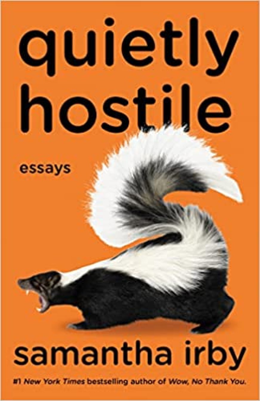 [PDF] Quietly Hostile: Essays by Samantha Irby