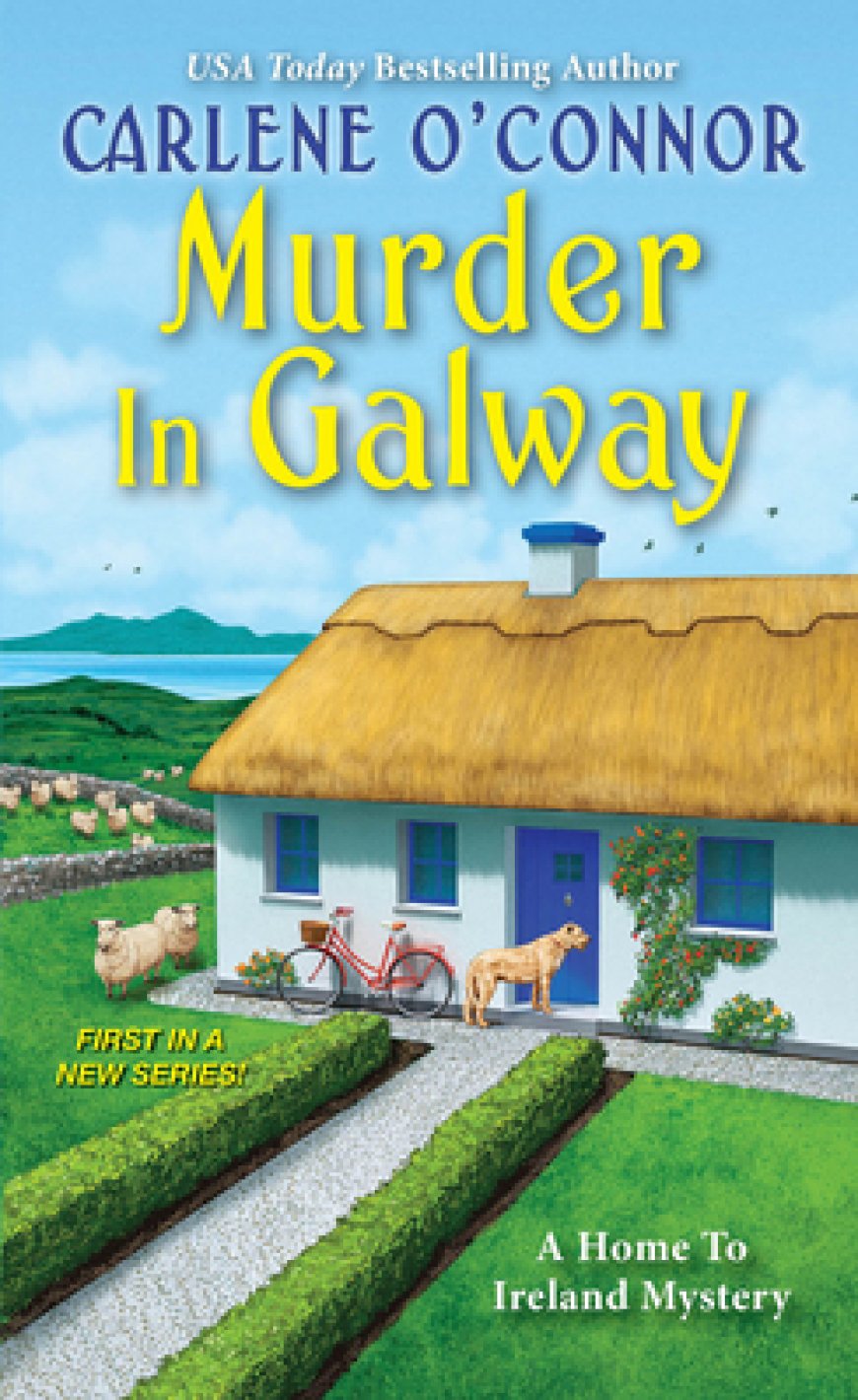 [PDF] Home to Ireland Mystery #1 Murder in Galway by Carlene O'Connor