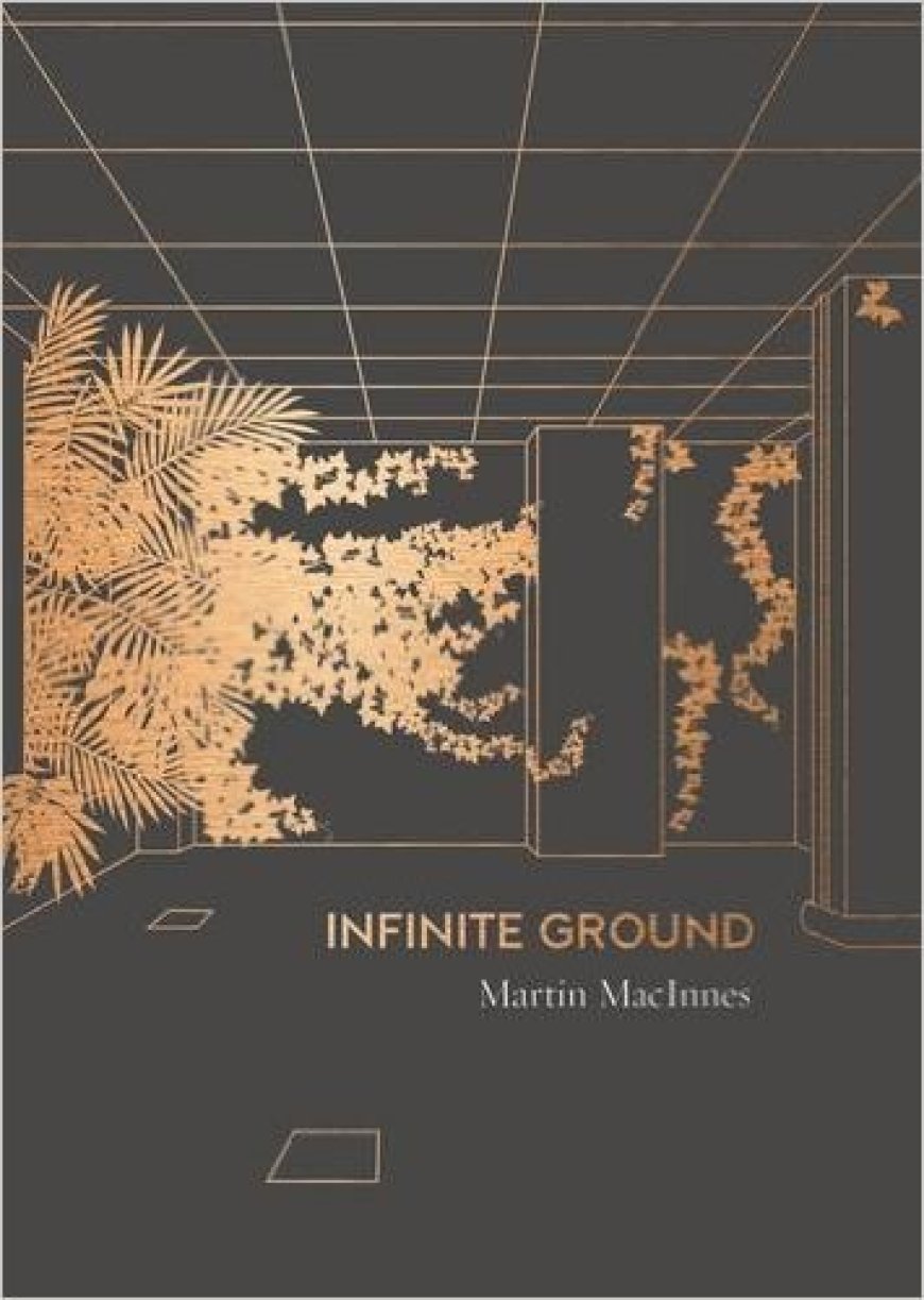 [PDF] Infinite Ground by Martin MacInnes