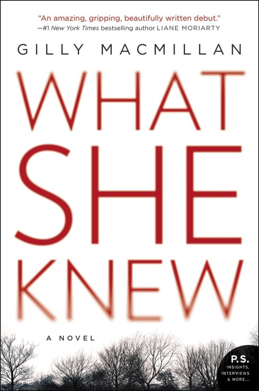 [PDF] Jim Clemo #1 What She Knew by Gilly Macmillan