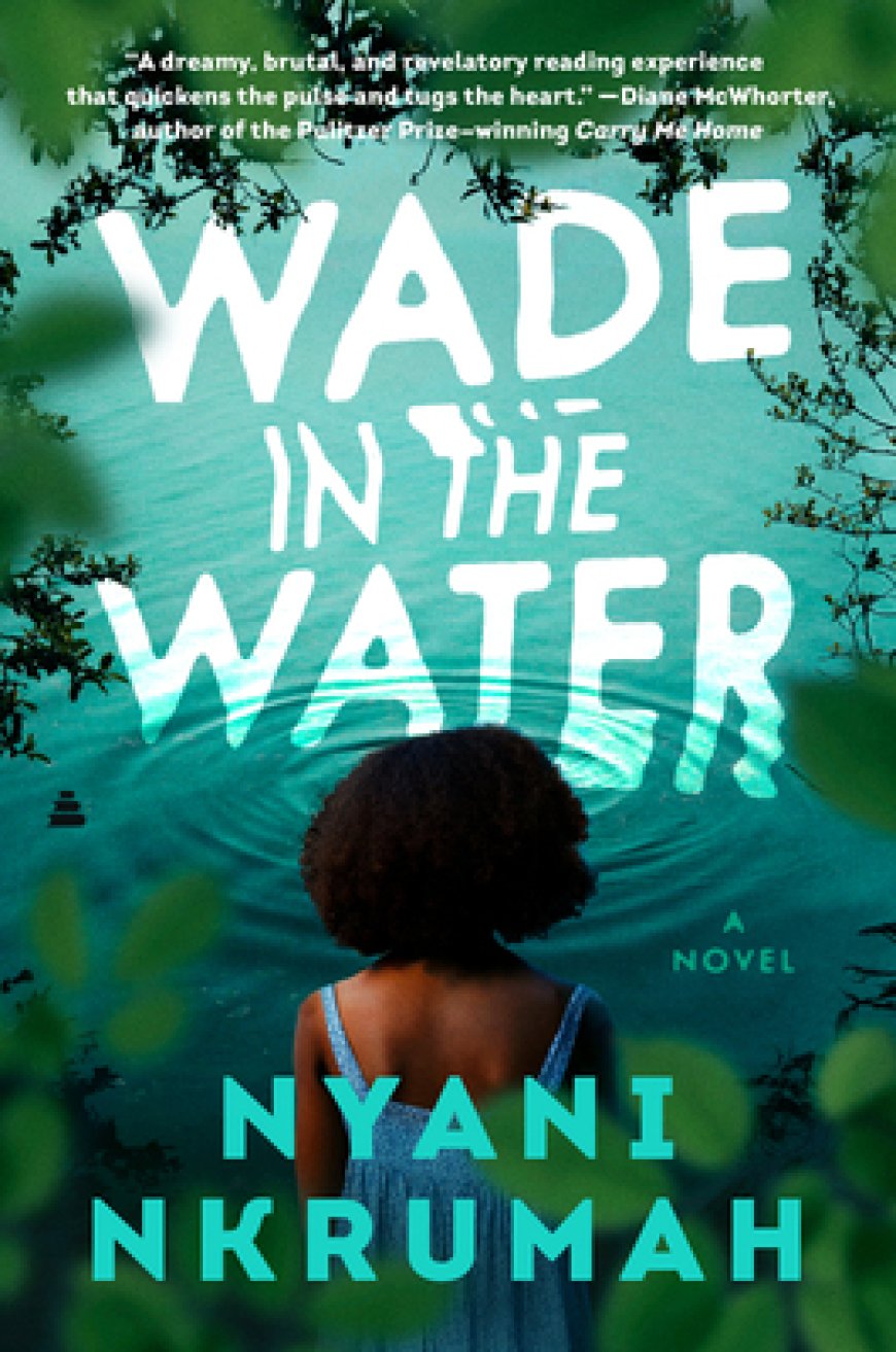 [PDF] Wade in the Water by Nyani Nkrumah