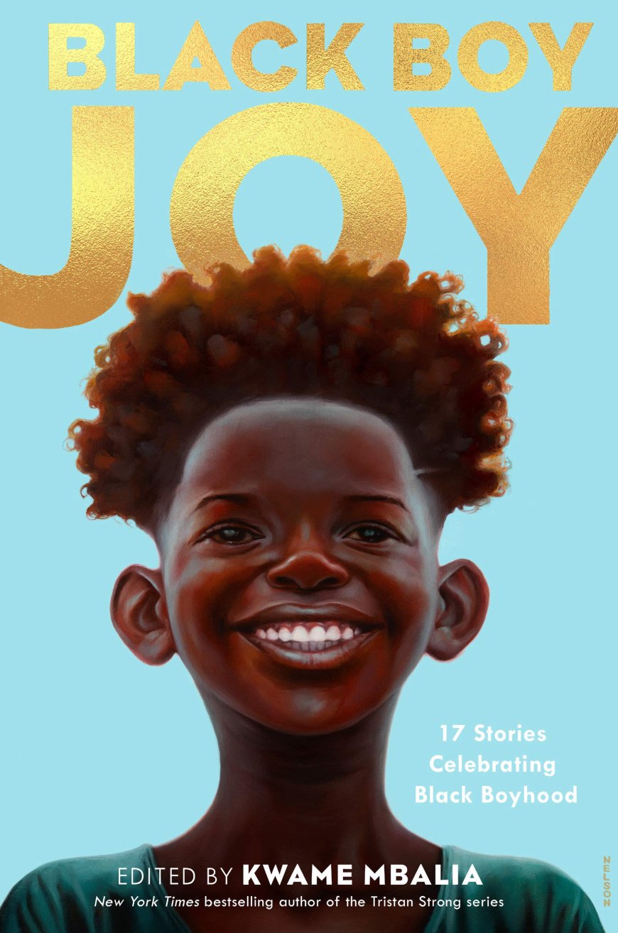 [PDF] Black Boy Joy by Kwame Mbalia  (editor)